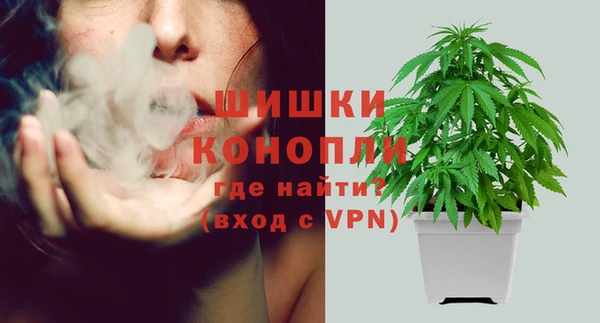 сатива Верхний Тагил