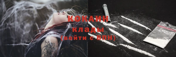 сатива Верхний Тагил