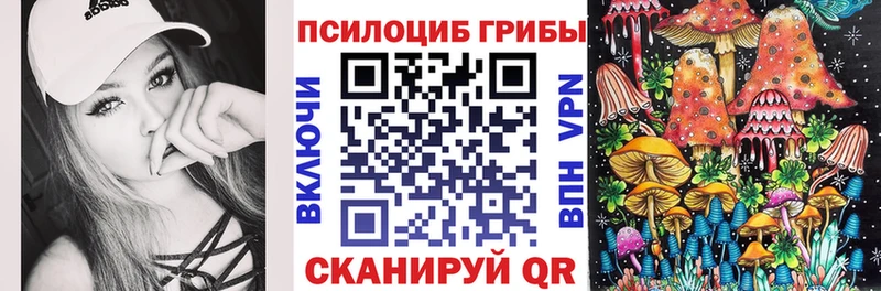 Галлюциногенные грибы Psilocybine cubensis  Переславль-Залесский 